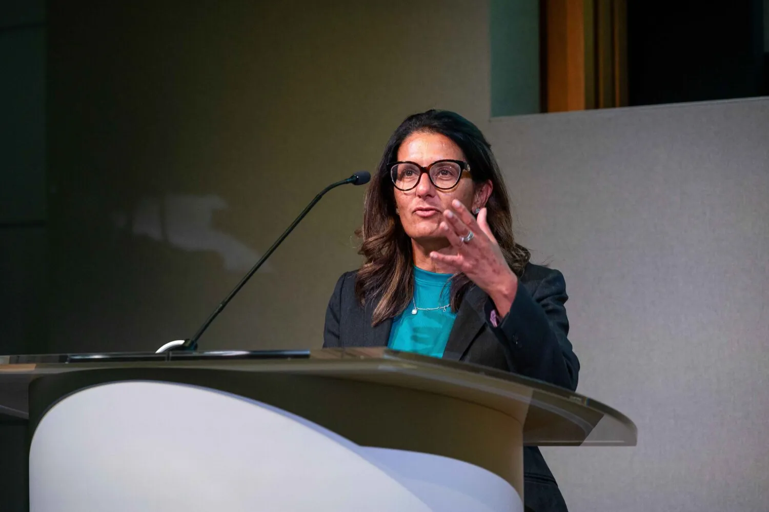 DAUK chair Ms Helen Fernandes speaking at our recent conference. Ms Fernandes has welcomed reports physician associates are to be renamed