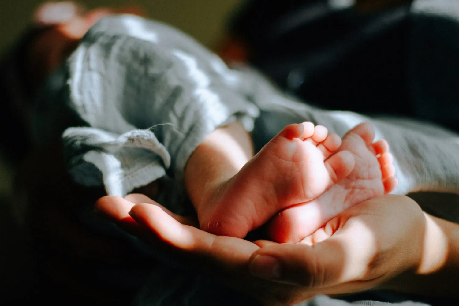 Baby's feet cradled in an adult's hands. DAUK’s GP committee says it is ‘sceptical’ about plans for every newborn baby in England to have their DNA mapped to screen for diseases.